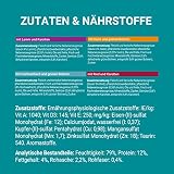 PURINA ONE Adult Katzenfutter nass, Sorten-Mix, 40er Pack (40 x 85g)
