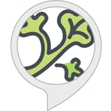cosas interesantes para aprender de informatica  Cosas interesantes
