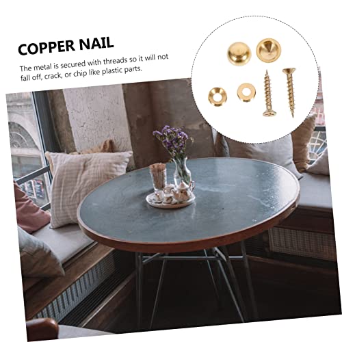 OUNONA 16 piezas tornillos de fijación para vidrio, clavos decorativos resistentes a la corrosión para hogar y oficina miniatura 4