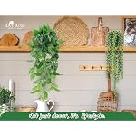 Der Rose 4Pcs Fake Plants Hanging Artificial Ivy Vine Faux Eucalyptus Hanging Plants, Boston Fern, String of Pearls for Home Boho Wall Shelf Indoor Outdoor Decor - Image 5