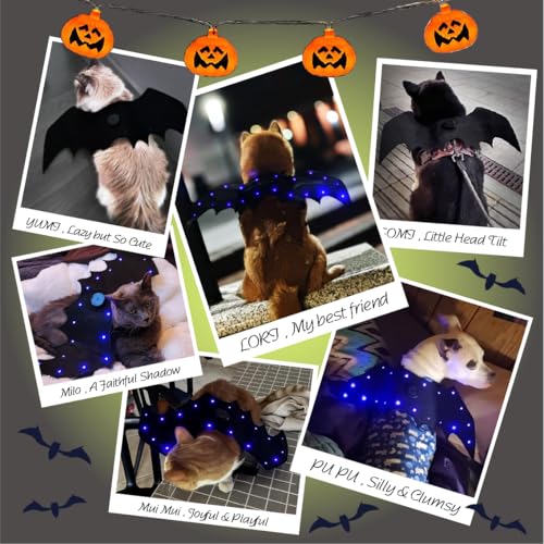 LED Bat Wings for Pets - Halloween Costume with 20 Lights, 4 Modes, Adjustable Fit for Cats & Dogs, Safe Soft Material for Party Trick or Treat (XL Size) #2