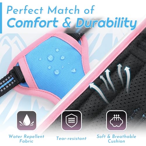 Image of Eagloo Dog Harness for Small Dogs, No Pull Pet Vest with 2 Leash Clips