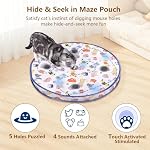 ORSDA Interactive Cat Toys Ball, Automatic Fast Rolling Ball in Pouch, Hide and Seek for Indoor Cats, Motion Chirping Activated Moving Toy, 5 Holes Mat Mouse Catching Game - Image 3