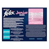 FELIX FANTASTIC Junior | Karma mokra dla kociąt | Wołowina, Kurczak, Sardynka, Łosoś | 12x85g