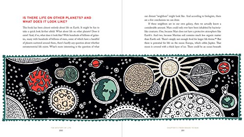 The Mystery of Life: How Nothing Became Everything - Image 9