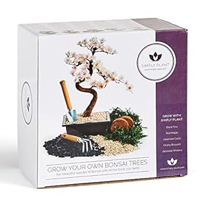 Bonsai Tree Kit with Bonsai Tool Kit – Grow Your own Kits Bonsai Tree Indoor Plant with a Variety of 5 Bonsai Trees…