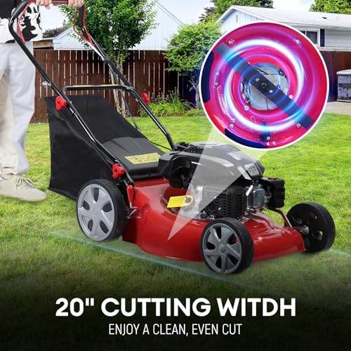 Rodiuiu Gas Lawn Mower - Overall View
