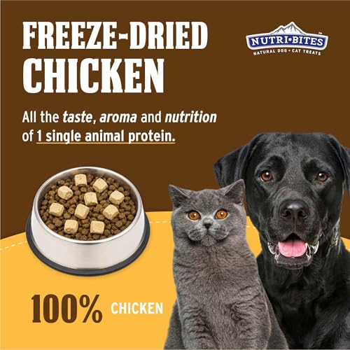 Image of Nutri Bites Freeze Dried Chicken Dog & Cat Treats, Single Ingredient