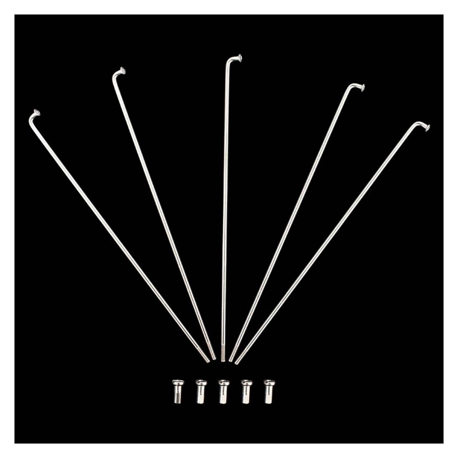 Raggi per bicicletta in acciaio inox argentato, 40 pezzi, 14 G, 181 mm-230 mm, con nippli in ottone, kit di riparazione di ricambio (220 mm)