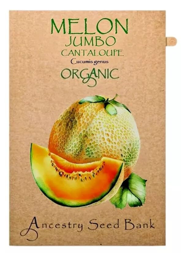 Organic Melon ❁ Cantaloupe Jumbo ❁ 10 Seeds Heirloom - Non GMO