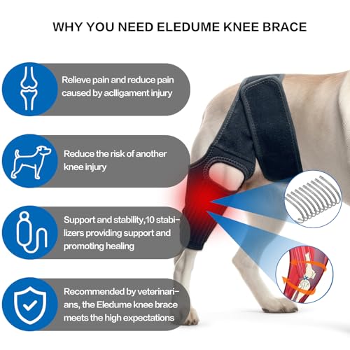 Image of Dog Knee Brace, Dog Leg Brace with 10 Stabilizers, Adjustable Dog Knee Brace for Torn Acl Hind Leg, Joint Pain, Kneecap Dislocation, Cruciate Ligament Injury and Muscle Sore, XL