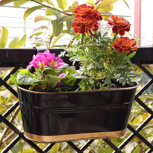 ecofynd 12 Inches Aurelia Railing Planters for Balcony, Hanging P...