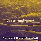  Charmant Stressabbau Musik