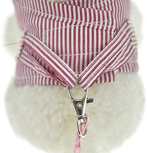 JKGHK Porcellino d'india Set di Imbracature e