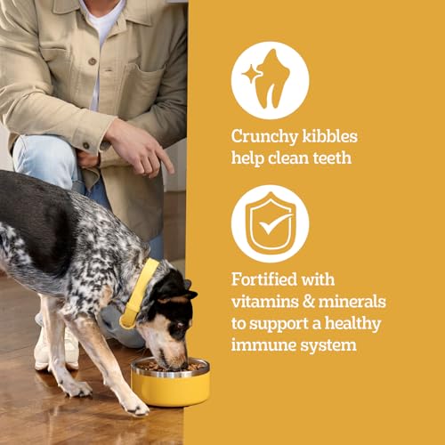 Image of Pedigree High Protein Adult Dry Dog Food, Beef and Lamb, 40 lb