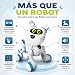 Imagen de Xtrem Bots - Bobby