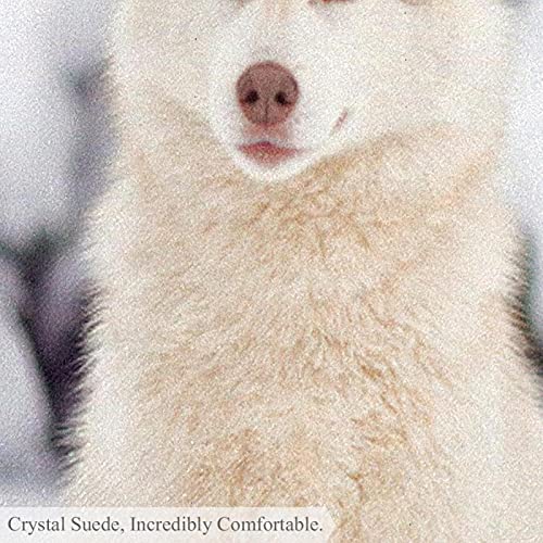 Alfombra perro husky siberiano con forma redonda para mascotas 6