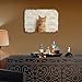 When Visiting My House Please Remember Metal Tin Sign 8x12 Inch Vintage Orange Tabby Cat Funny House Rules Wall Decor Plaque for Home Living Room