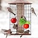 2 Stück Vogelspieß Papageienspieß Futterspender,Wellensittich Zubehör,Spielzeug,Vogel,Vogelspielzeug,Futterkrippe,für Hühnerspielzeug,Edelstahl,Hühnergemüsespieß,Vogelgemüsespieß,Futtersuchspielzeug