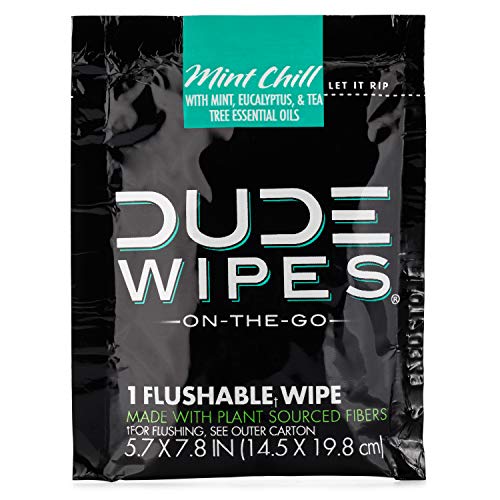 Dude Wipes On-The-Go Flushable Wet Wipes - 1 Pack, 30 Wipes - Mint Chill Extra-Large Individually Wrapped Wipes With Eucalyptus & Tea Tree Oil - Septic And Sewer Safe #TOP3