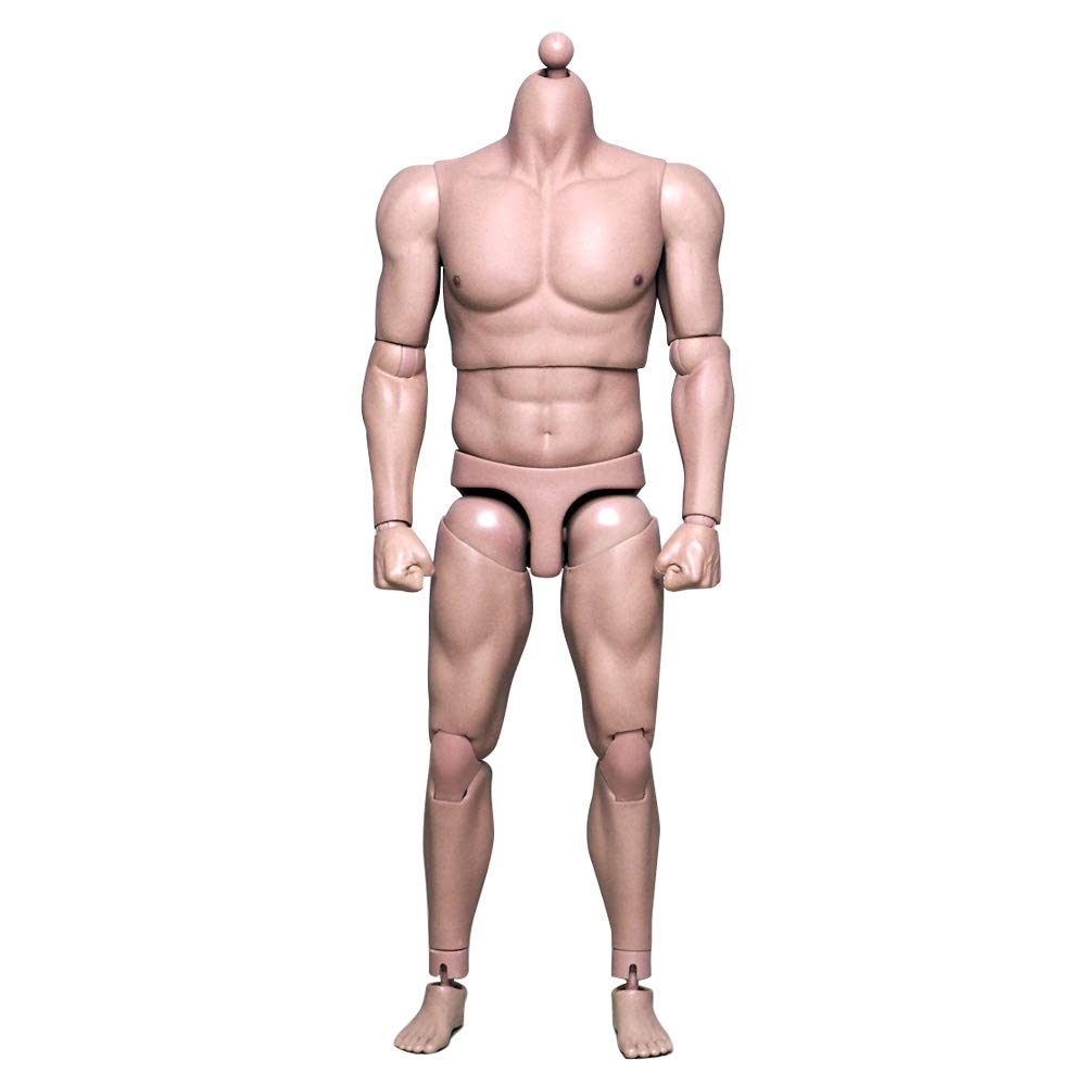 Amazon | 1/6 男性 フィギュア用 素体 男性ボディ 筋肉 腹筋 ボディ