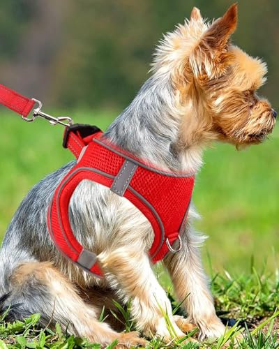Joytale Hundegeschirr Kleine Hunde, Reflektierend Weich Gepolstert Geschirr, Air-Mesh Brustgeschirr Hund klein, S, Rot