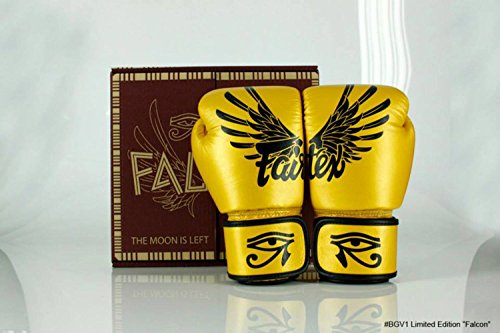 Fairtex Falcon Limited Edition Muay Thai Style Training Gloves
