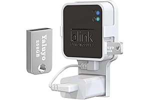 256GB USB Flash Drive and Blink Sync 2 Mount
