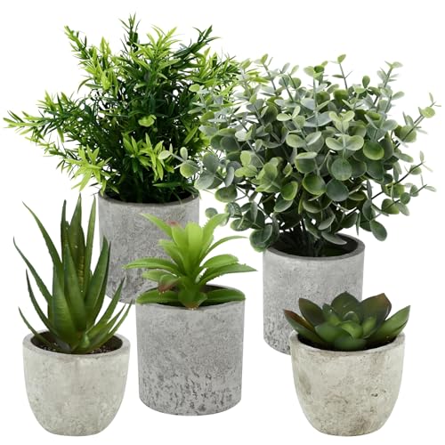 kasanidika lHϗtA 5_Zbg  A G} tFCNO[ ~j CeAO[ ϗt   sv ItBX e[ufR[V  Vzj ̓ ̓MtgՂ葡蕨