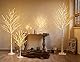 Hairui Birke Lichterbaum 200 LEDs 120CM Künstlicher Weihnachtsbaum mit Beleuchtung Leuchtbaum für Ostern, Hochzeit, Festliche deko, Heimdekoration, Party