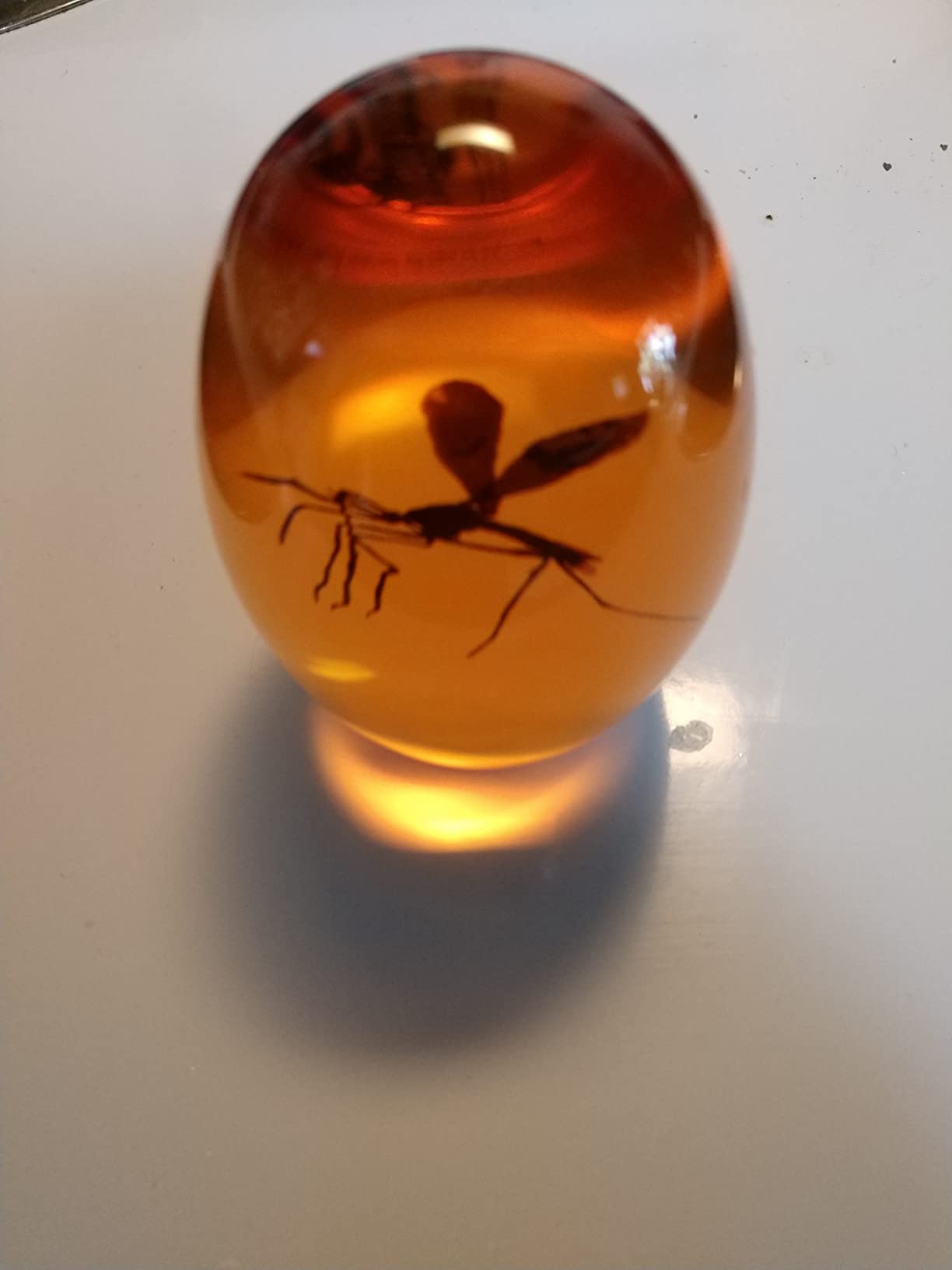 Jurassic Park Mosquito In Amber Resin Prop Replica | Free Shipping