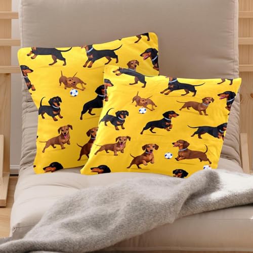 Fundas cojín perro salchicha fútbol americano terciopelo decorativas de 50x50 3