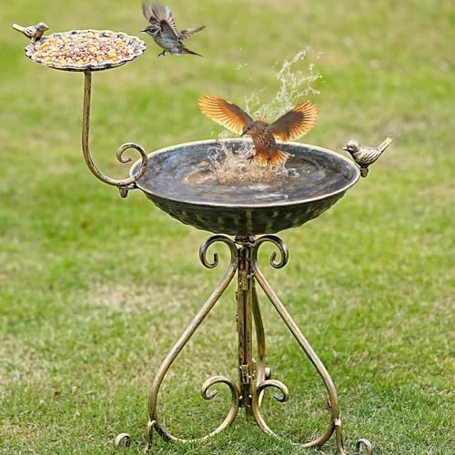 Eva Solo | Bird Bath and Feeder | Sculptural Design for The Garden | glas, siliconen rubber en roestvrij staal