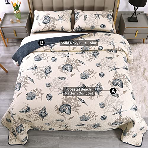 Qucover 3-Pieces Blue Shell Starfish Ocean Theme Quilt Bedspreads Sets 100% Cotton Quilted Bedspreads And Comforters 98X106 Inch, King Bedspreads Clearance Prime #TOP5