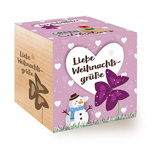 Feel Green Celebrations Ecocube Cover