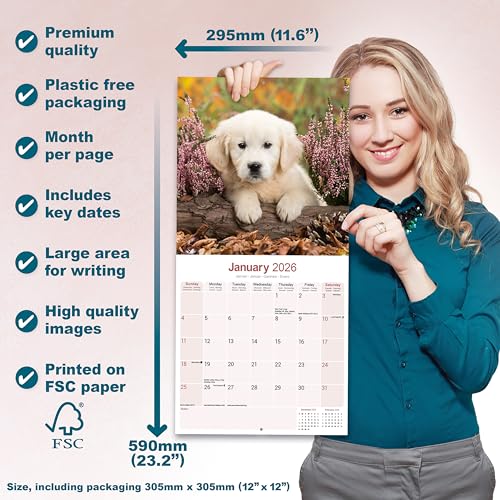Golden Retriever Puppies Calendar 2026 Square Dog Puppy Breed Wall Calendar - 16 Month