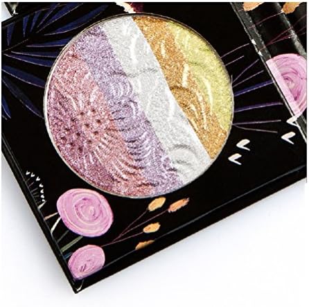 Axcv5 Highlighter Palette Face Contouring kit (Matte Highlights #01)
