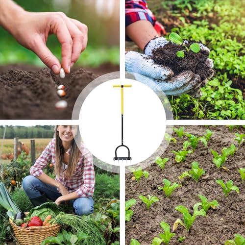 Scarificateur ergonomique pour l'entretien du sol avec poignée en T robuste - 5