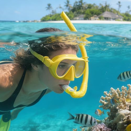 Équipement de snorkeling avec caisson de transport et palmes de plongée