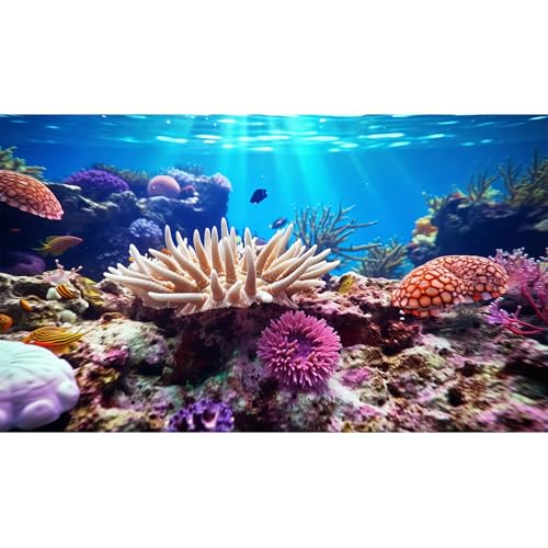 Image of Underwater World Aquarium Background Sea Urchin Coral Reef Teeming with Marine Life Terrarium Background Deep Ocean Tropical Marine with Sunbeams Fish Tank Backdrop Poster Decor Vinyl 72x24in