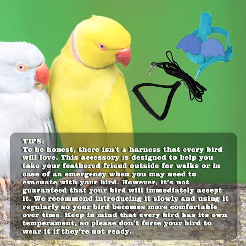 Image of Adjustable Bird Leashes and Harnesses, Bird Nylon Harness with Cute Wing for Parrots, Pet Bird Accessories, Bird Leash for Hang Out, Suitable for Cockatiel, Quaker, Amazon Parrot and Same Size Birds