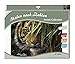 Produktbild Mammut Spiel & Geschenk 108007 - Malen nach Zahlen Artists Collection - Tiger, ca. 40 x 30 cm, Multi