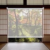 PVC Estor Enrollable Transparente, El Plastico Impermeable Transparentes Persianas Enrollables, HD Persiana Enrollable Transparente para Cocina, Oficina, Pérgola (A 130×165cm)