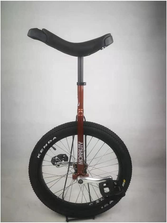 Monocycle de 20 pouces ELzEy anti-glisse pour débuter le fitness sans chute