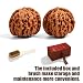 Imagen de BOXOB Set Nueces Wenwan