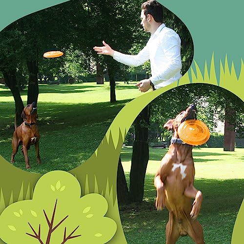 rootsnoot Frisbee FÜR Hunde | weich und super stabil | schwimmfähig | besonders Zahn - schonend | SCHADSTOFF FREI (NEON - Orange)