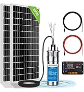 ECO-WORTHY Solar Deep Well Pump System, 12V Water Pump + 2pcs 100W Monocrystalline Solar Panel + ...