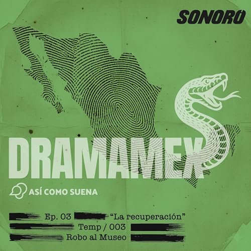 3. ROBO AL MUSEO - La recuperaci&oacute;n