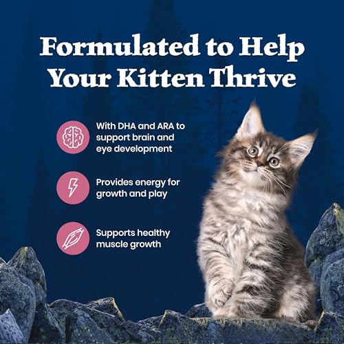 Image of Blue Buffalo Wilderness High-Protein & Grain-Free Dry Food for Kittens, Natural Ingredients with DHA for Cognitive Development, Salmon Recipe, 5lb Bag