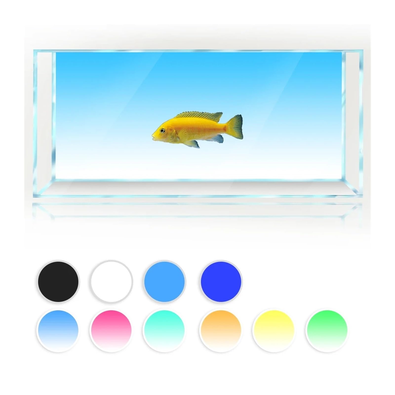 Fondo de Acuario Fondo de Acuario con Degradado, impresión Sencilla, decoración for el hogar para decoración de Acuario y pecera(Yellow,50x150cm)